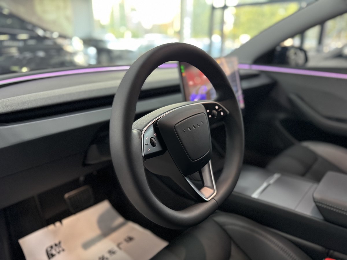 特斯拉 Model Y  2023款 煥新版 后輪驅(qū)動(dòng)圖片