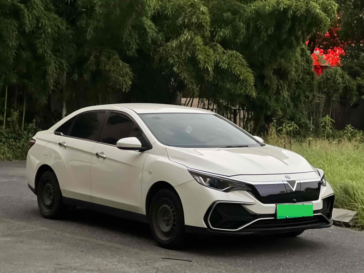 啟辰 D60EV  2022款 標(biāo)準(zhǔn)續(xù)航智行版圖片