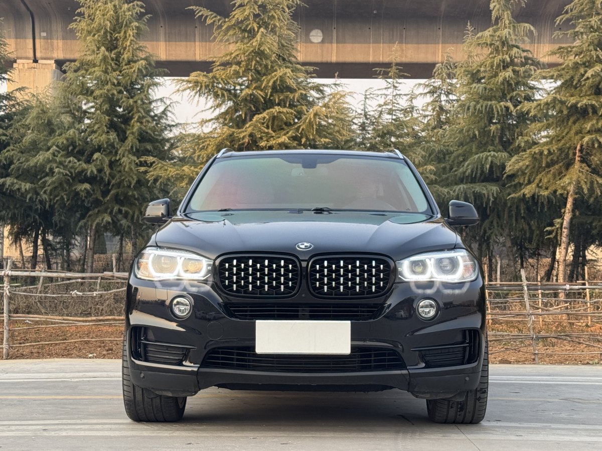 寶馬 寶馬X5  2014款 xDrive35i 領(lǐng)先型圖片