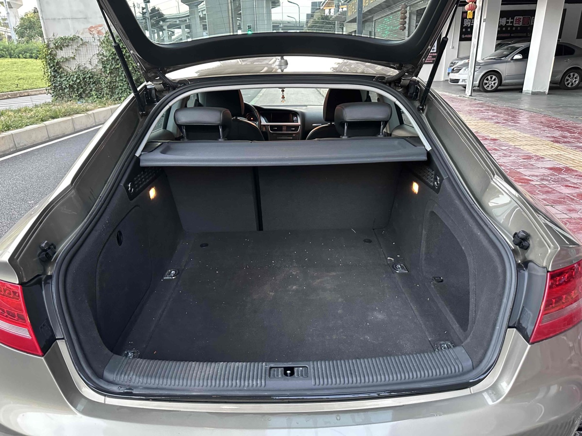 奧迪 奧迪A5  2010款 2.0TFSI Sportback 舒適型圖片