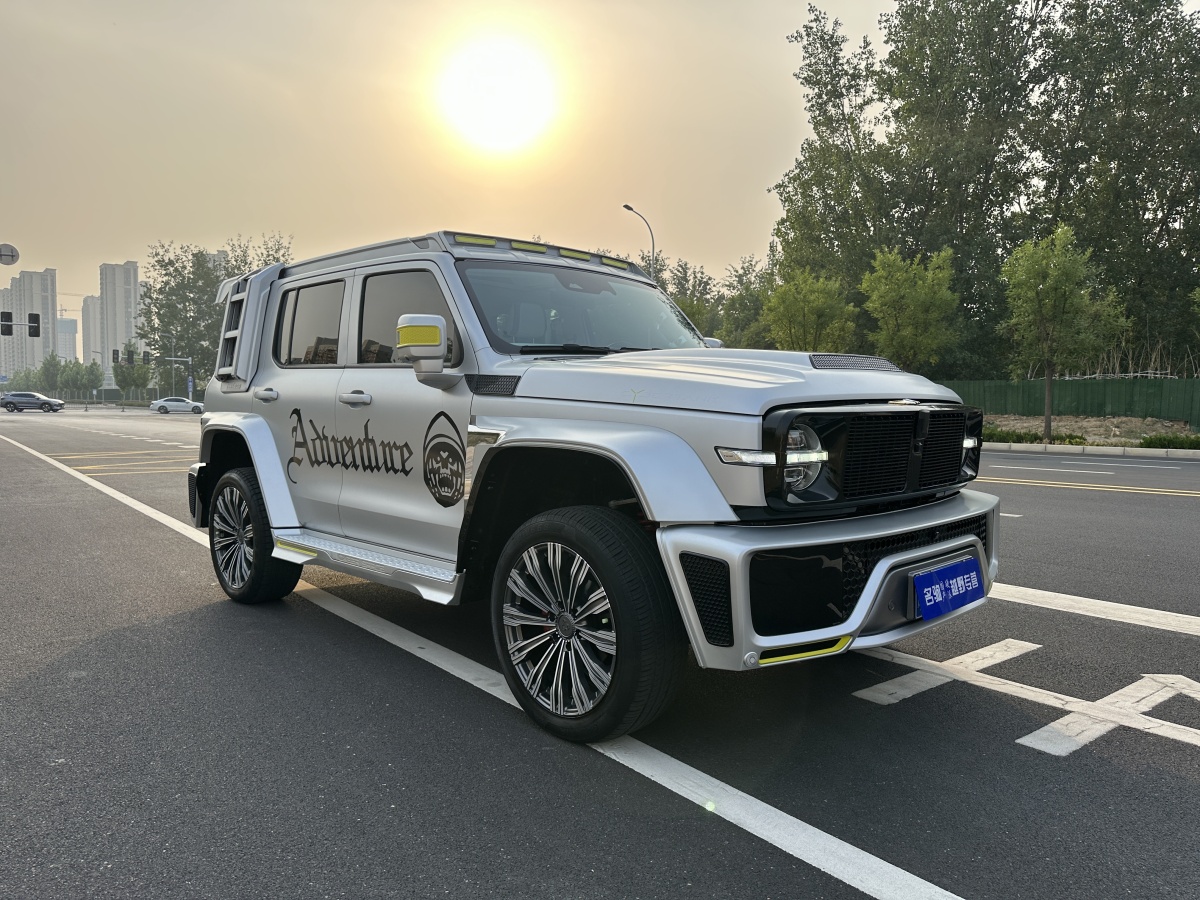 坦克 坦克300共創(chuàng)  2021款 2.0T 賽博坦克圖片