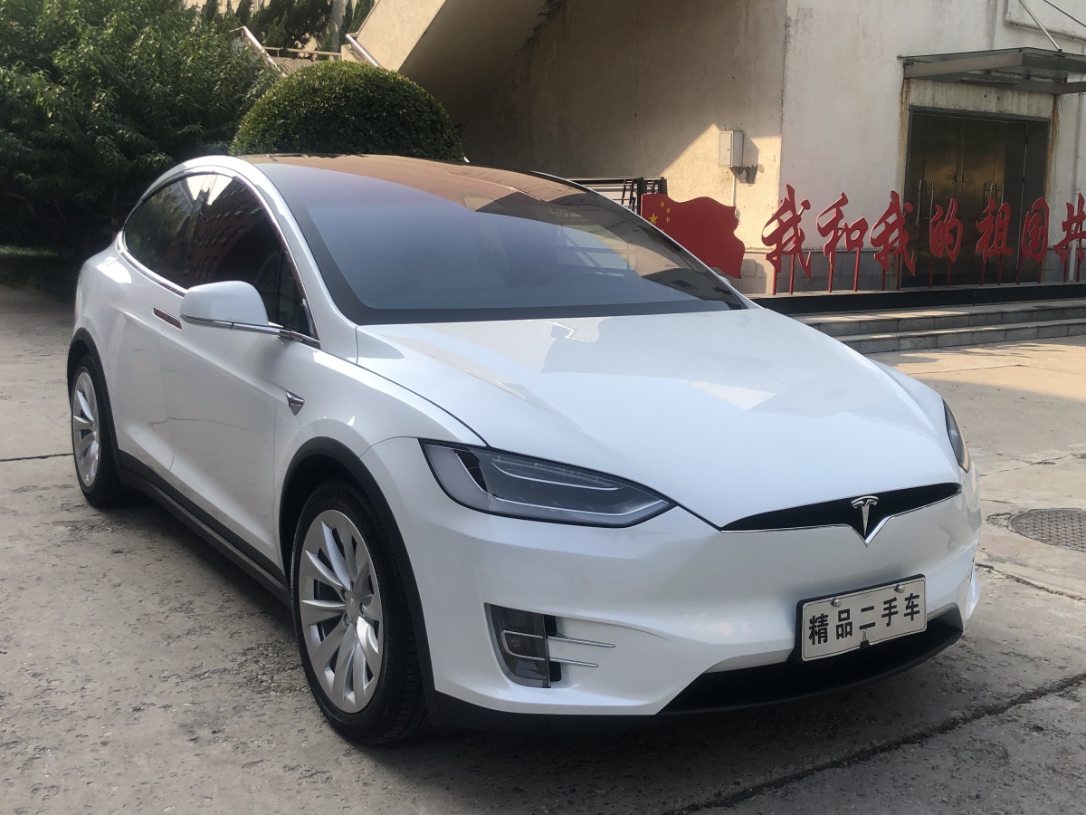 2019年3月特斯拉 model x 2017款 model x 100d 長續航版