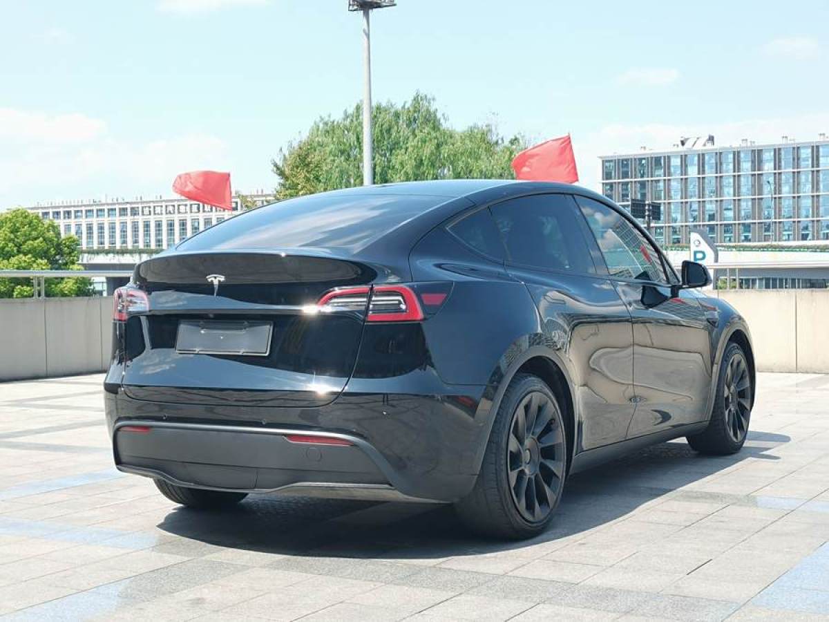 特斯拉 Model Y  2022款 后輪驅(qū)動版圖片