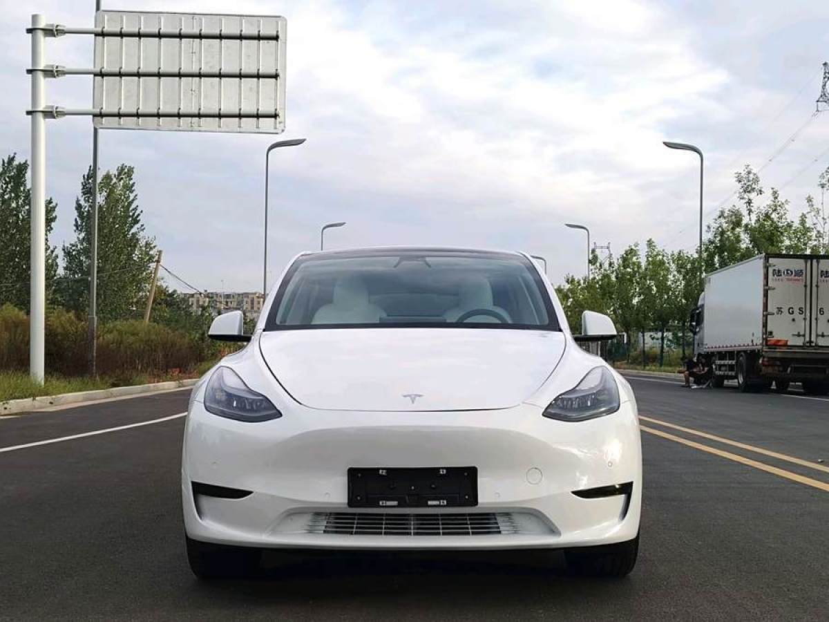 特斯拉 Model 3  2020款 改款 長續(xù)航后輪驅動版圖片