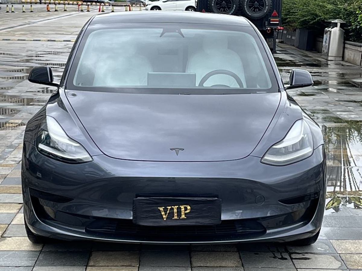 特斯拉 Model 3  2019款 標準續(xù)航后驅升級版圖片