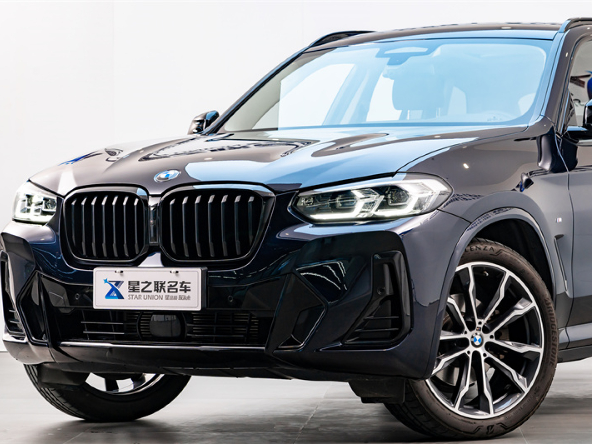 寶馬 寶馬X3  2022款 改款 xDrive30i 領(lǐng)先型 M曜夜套裝圖片