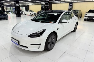 Model 3 特斯拉 后輪驅(qū)動版