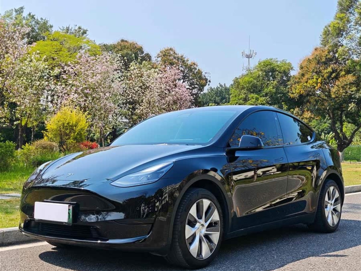 特斯拉 Model Y  2022款 改款 后輪驅(qū)動版圖片