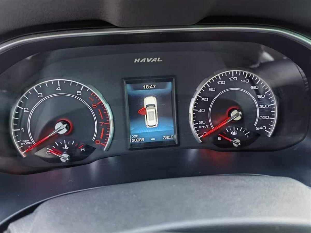 哈弗 H6  2020款 2.0GDIT 自動鉑金冠軍版圖片