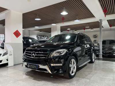 2013年5月 奔馳 奔馳M級  ML 350 動感型圖片