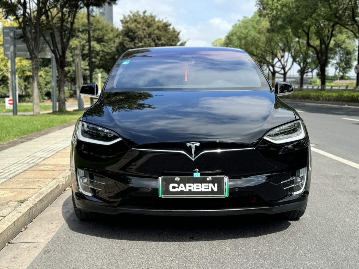 特斯拉 Model X  2016款 Model X P100D Performance高性能版圖片