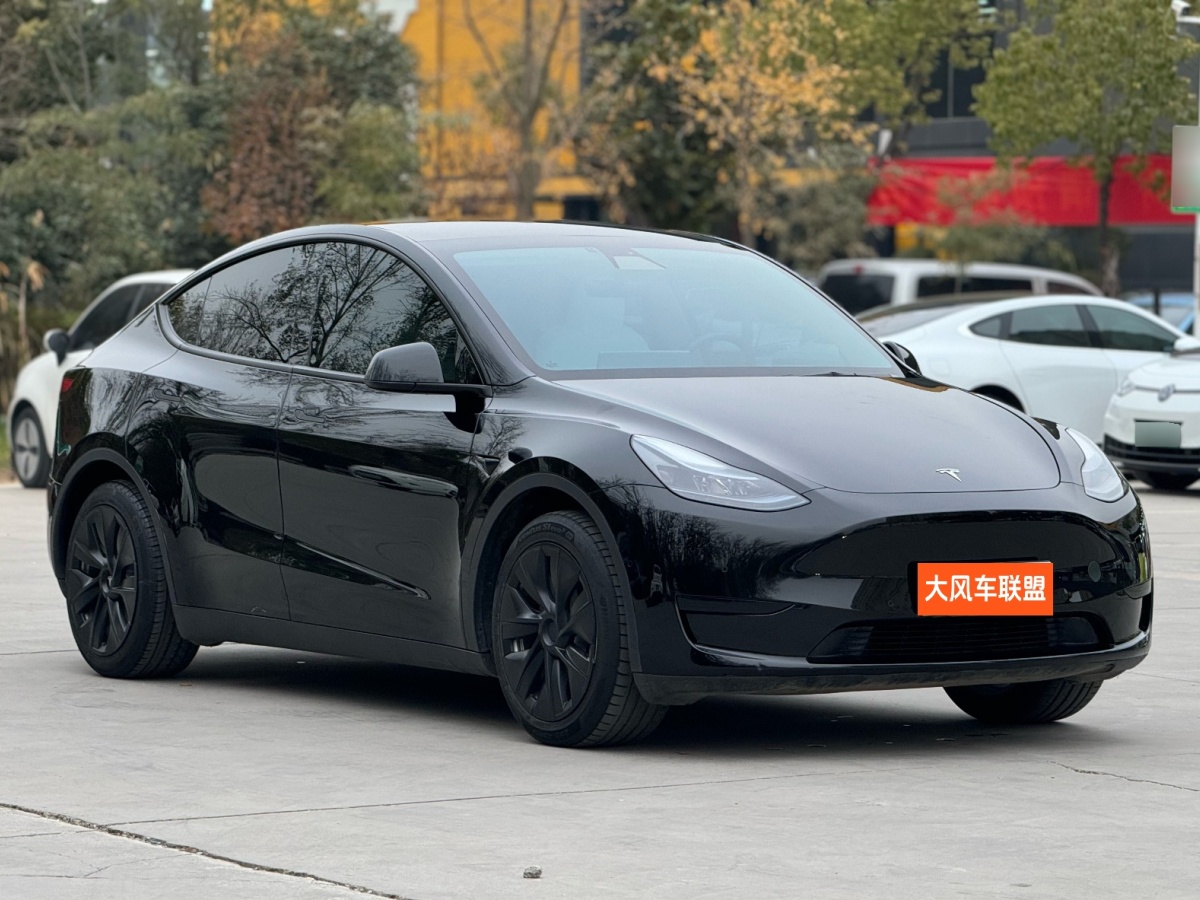 特斯拉 Model 3  2022款 后輪驅(qū)動(dòng)版圖片