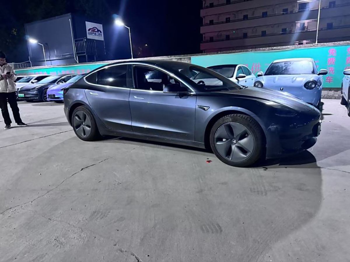 特斯拉 Model 3  2020款 改款 標(biāo)準(zhǔn)續(xù)航后驅(qū)升級版圖片