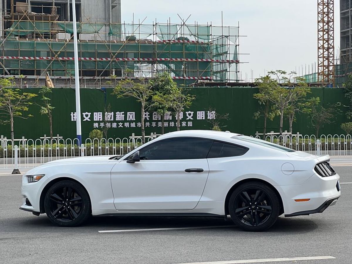 福特 Mustang  2015款 2.3T 性能版圖片