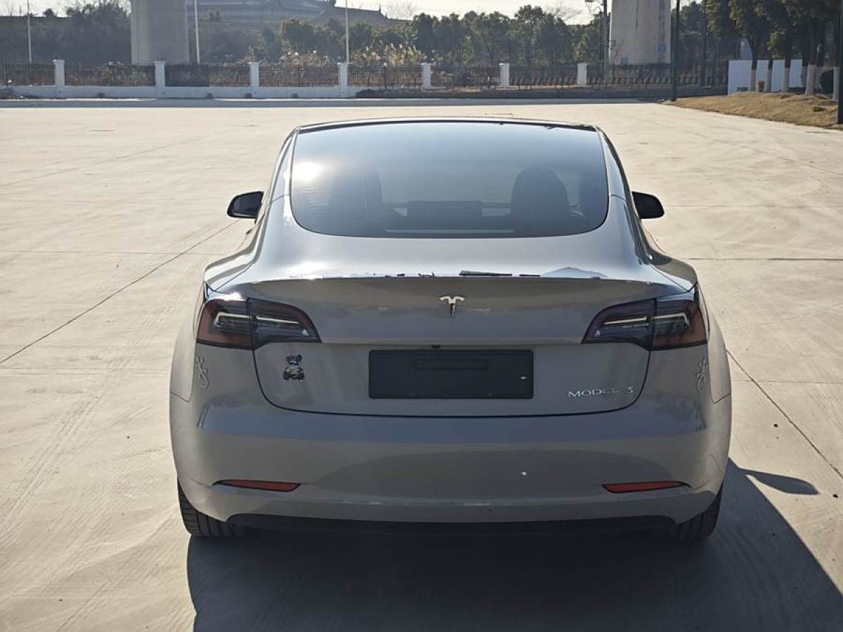 特斯拉 Model 3  2021款 改款 標(biāo)準(zhǔn)續(xù)航后驅(qū)升級(jí)版圖片