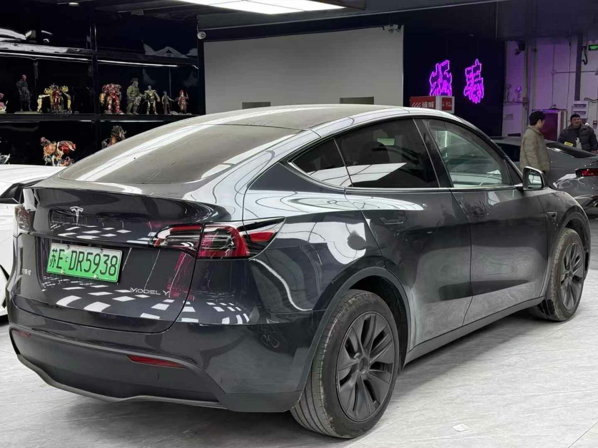 特斯拉 Model Y  2024款 Performance高性能版圖片