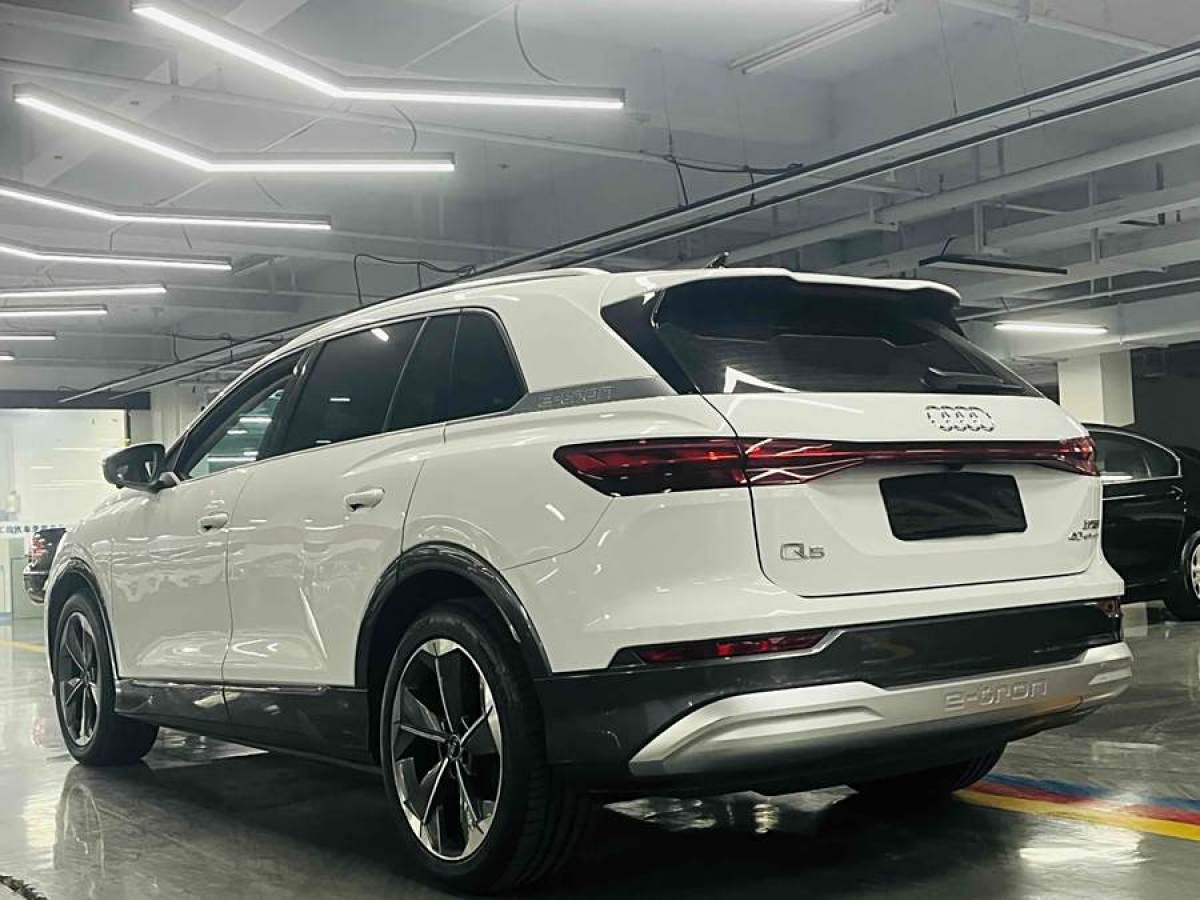 奧迪 奧迪Q5 e-tron  2022款 40 e-tron 星耀型 錦衣套裝圖片