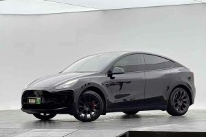 Model Y 特斯拉 Performance高性能全輪驅(qū)動版