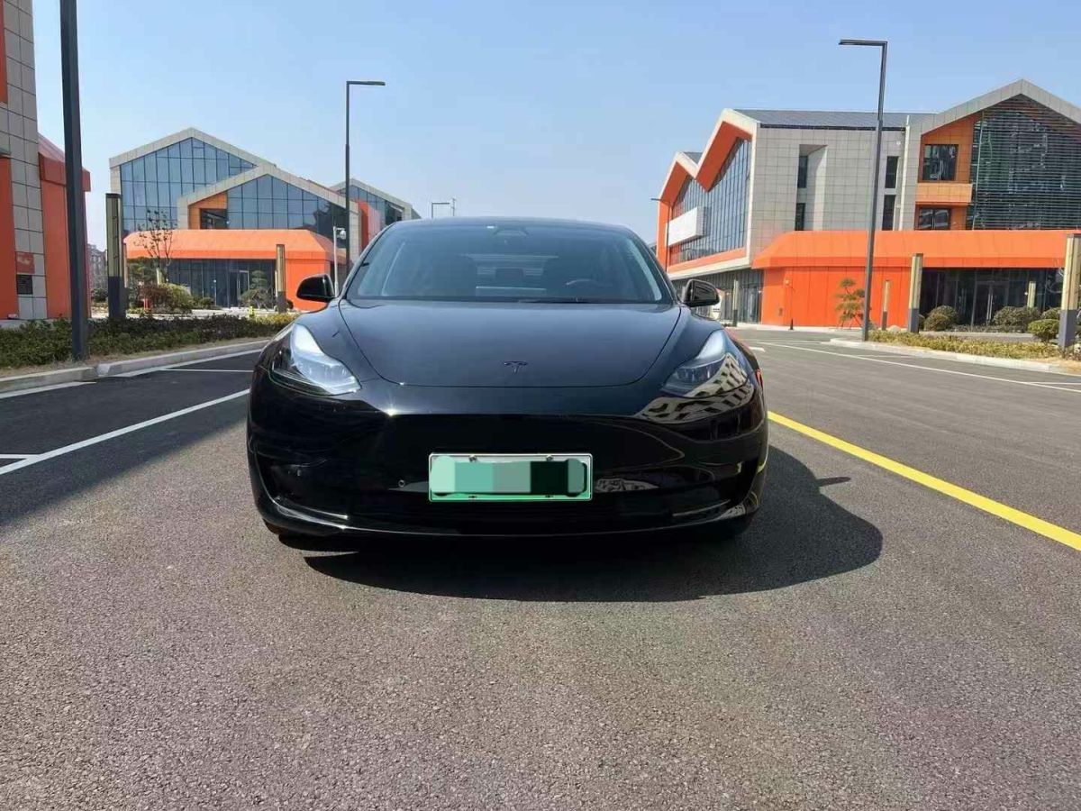 特斯拉 Model Y  2021款 標準續(xù)航后驅版圖片