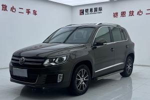 途观 大众 1.8TSI 自动两驱豪华型