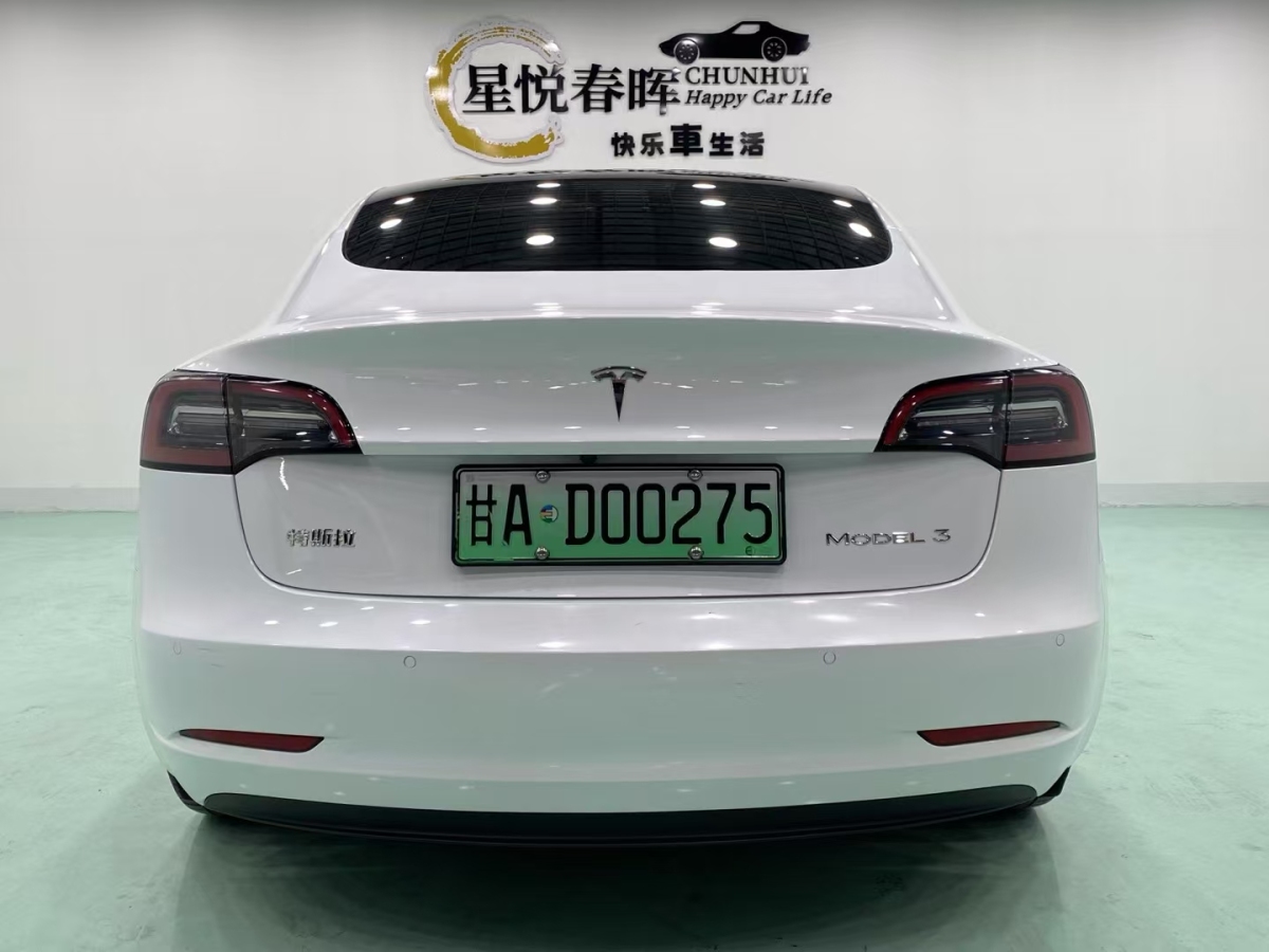 特斯拉 Model 3  2019款 標(biāo)準(zhǔn)續(xù)航后驅(qū)升級(jí)版圖片