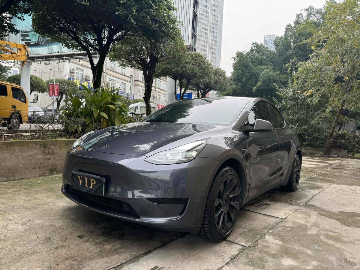 特斯拉 Model 3  2020款 改款 長續(xù)航后輪驅(qū)動版圖片