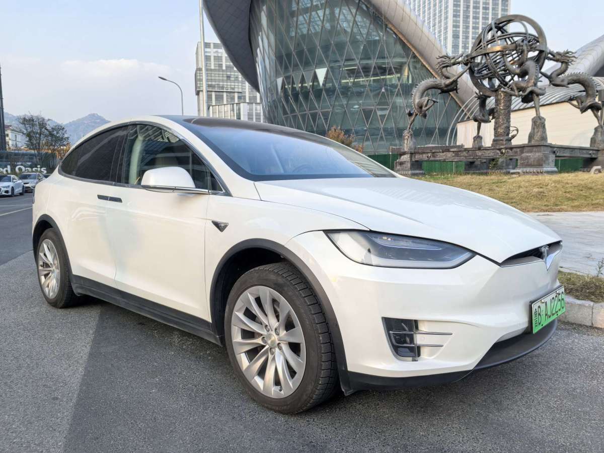 特斯拉 Model X  2016款 Model X 75D圖片