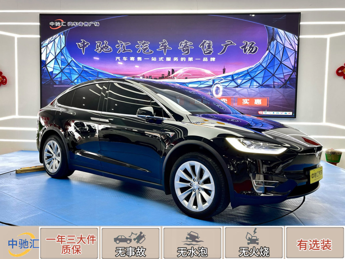 2019年3月特斯拉 Model X  2017款 Model X 100D 長(zhǎng)續(xù)航版