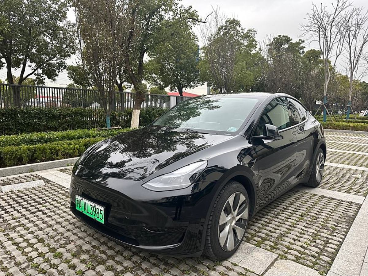 2022年2月特斯拉 Model 3  2022款 后輪驅(qū)動版