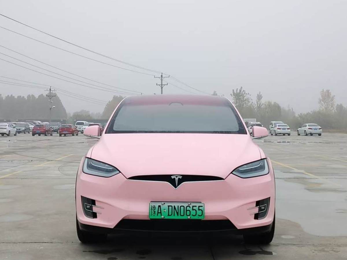 特斯拉 Model X  2019款 標(biāo)準(zhǔn)續(xù)航版圖片