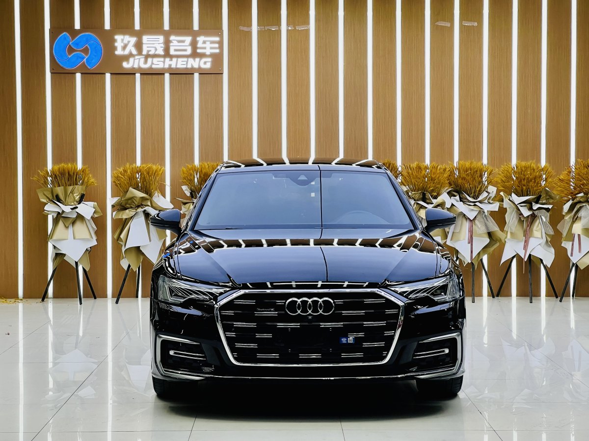 2024年2月奧迪 奧迪A6L  2024款 45 TFSI 臻選動感型