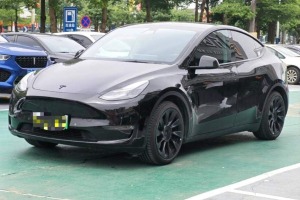 Model Y 特斯拉 標(biāo)準(zhǔn)續(xù)航后驅(qū)版