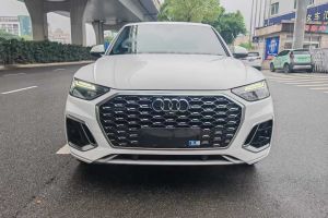奧迪Q5 e-tron 奧迪 40 e-tron 星耀型 機(jī)甲套裝