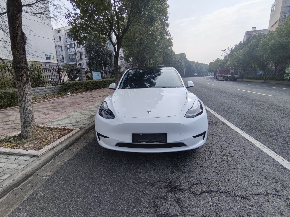 特斯拉 Model 3  2022款 后輪驅(qū)動(dòng)版圖片