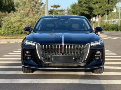 2024年2月 紅旗 H5 1.5T DCT智聯(lián)旗韻版圖片