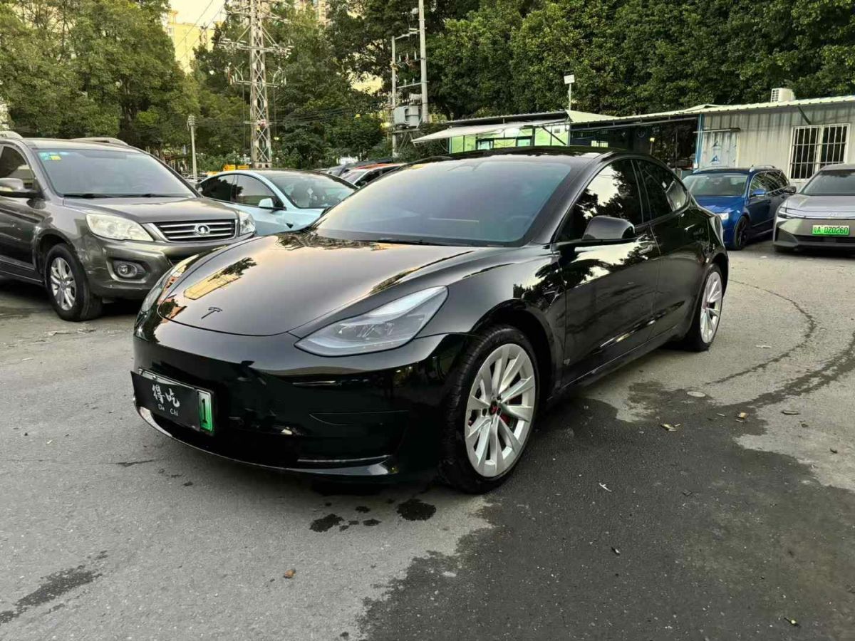 特斯拉 Model 3  2022款 Performance高性能全輪驅(qū)動(dòng)版圖片