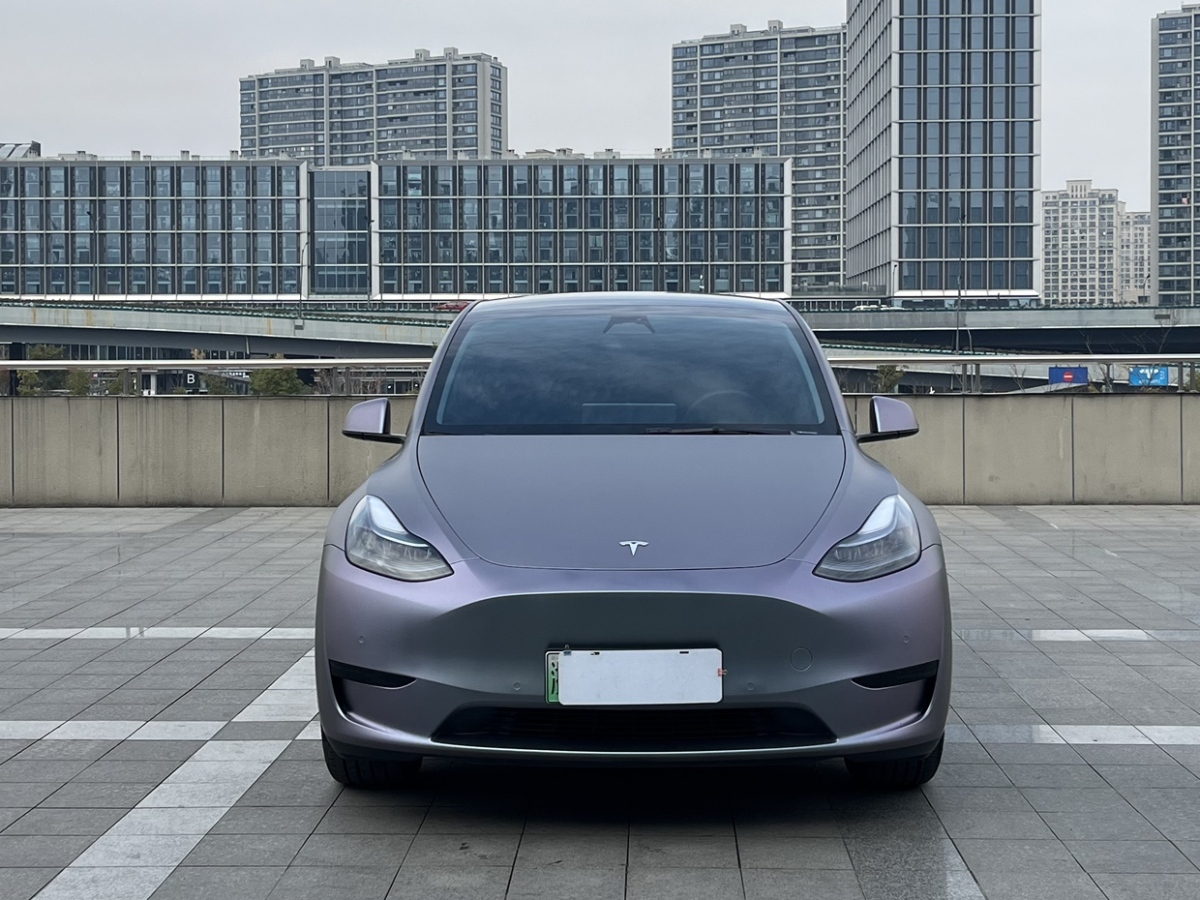 特斯拉 Model 3  2021款 改款 標(biāo)準(zhǔn)續(xù)航后驅(qū)升級(jí)版圖片