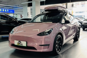 Model Y 特斯拉 改款 標準續(xù)航后驅(qū)升級版