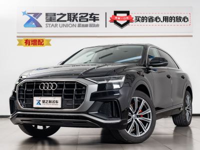 2021年1月 奧迪 奧迪Q8(進口) 45 TFSI zhen選動感型圖片