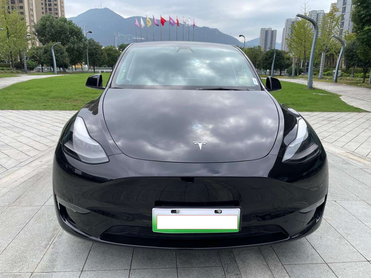 特斯拉 Model Y  2021款 改款 標準續(xù)航后驅(qū)升級版圖片