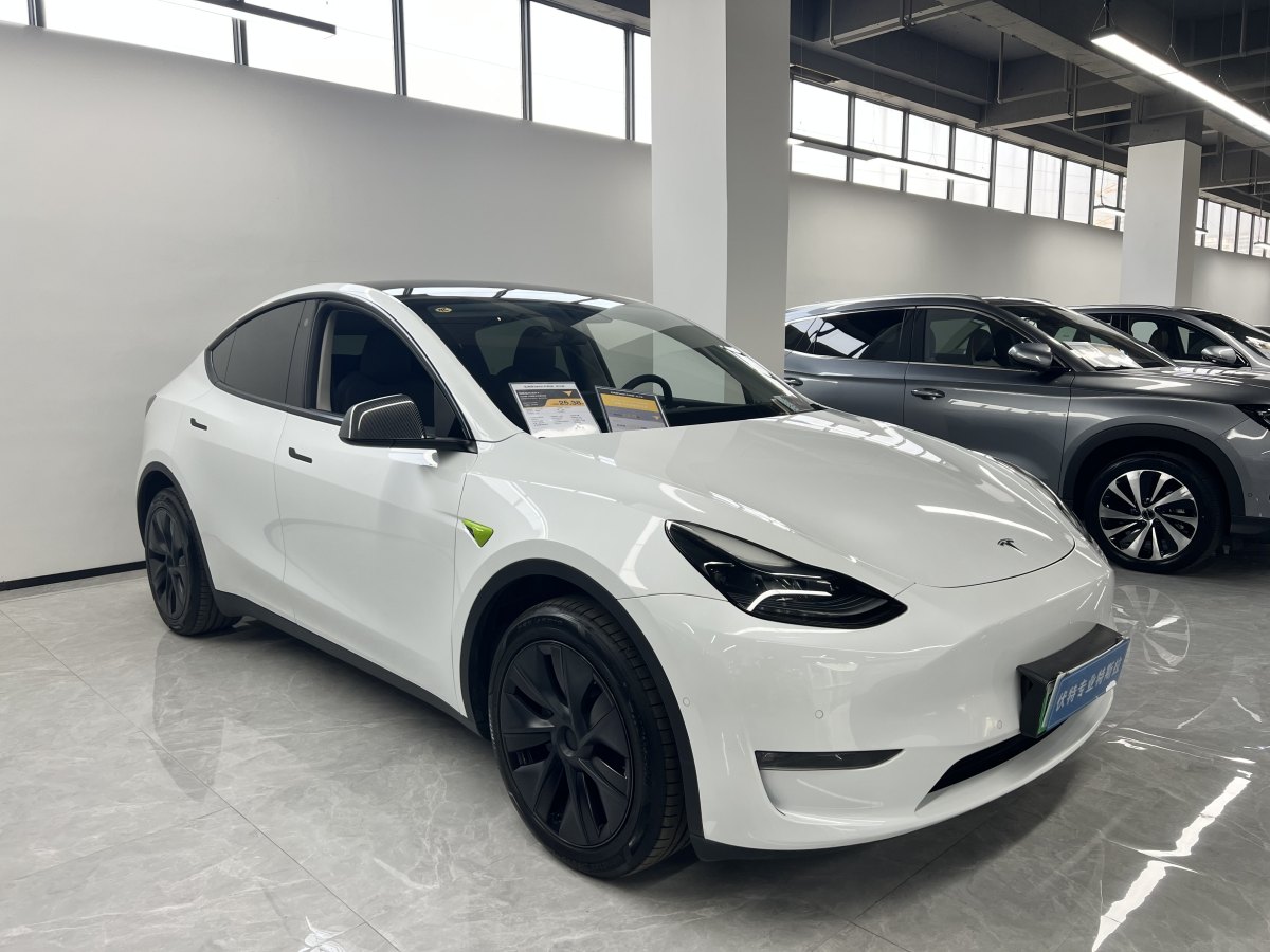 2024年1月特斯拉 Model Y  2023款 長(zhǎng)續(xù)航煥新版 雙電機(jī)全輪驅(qū)動(dòng)