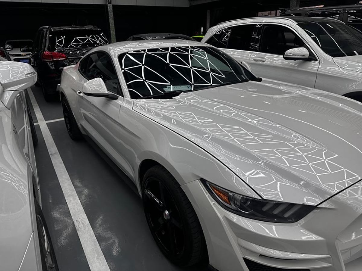 福特 Mustang  2015款 2.3T 性能版圖片