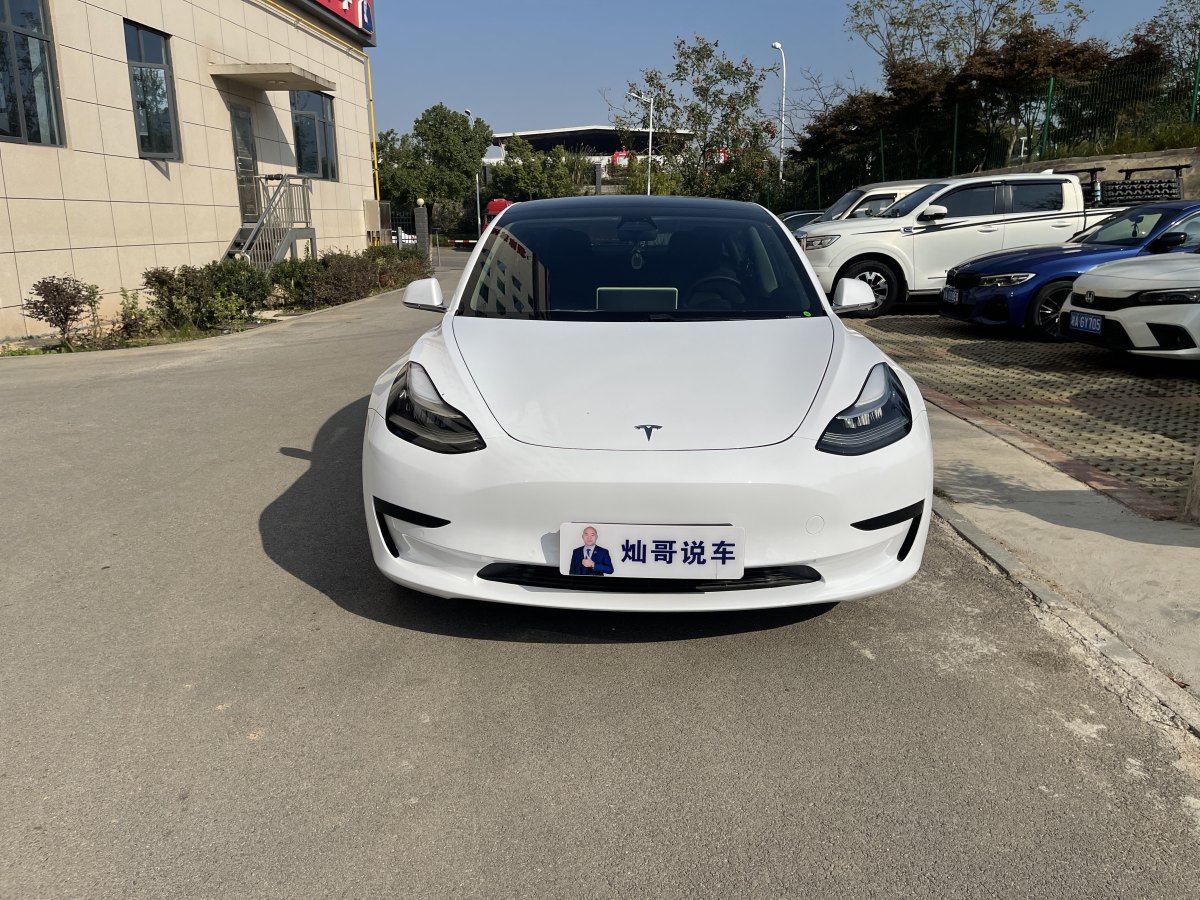 特斯拉 Model Y  2020款 改款 標(biāo)準(zhǔn)續(xù)航后驅(qū)升級版圖片