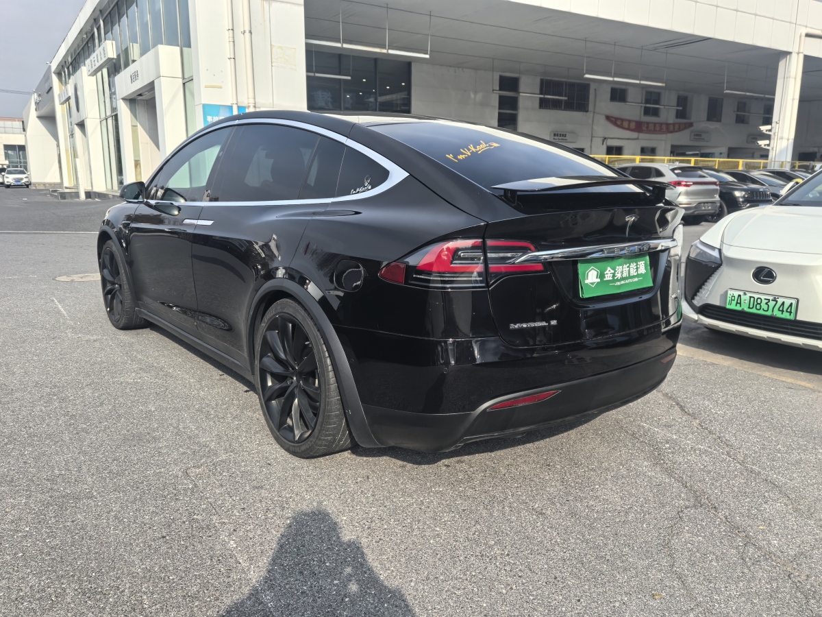 特斯拉 Model X  2017款 Model X 100D 長(zhǎng)續(xù)航版圖片