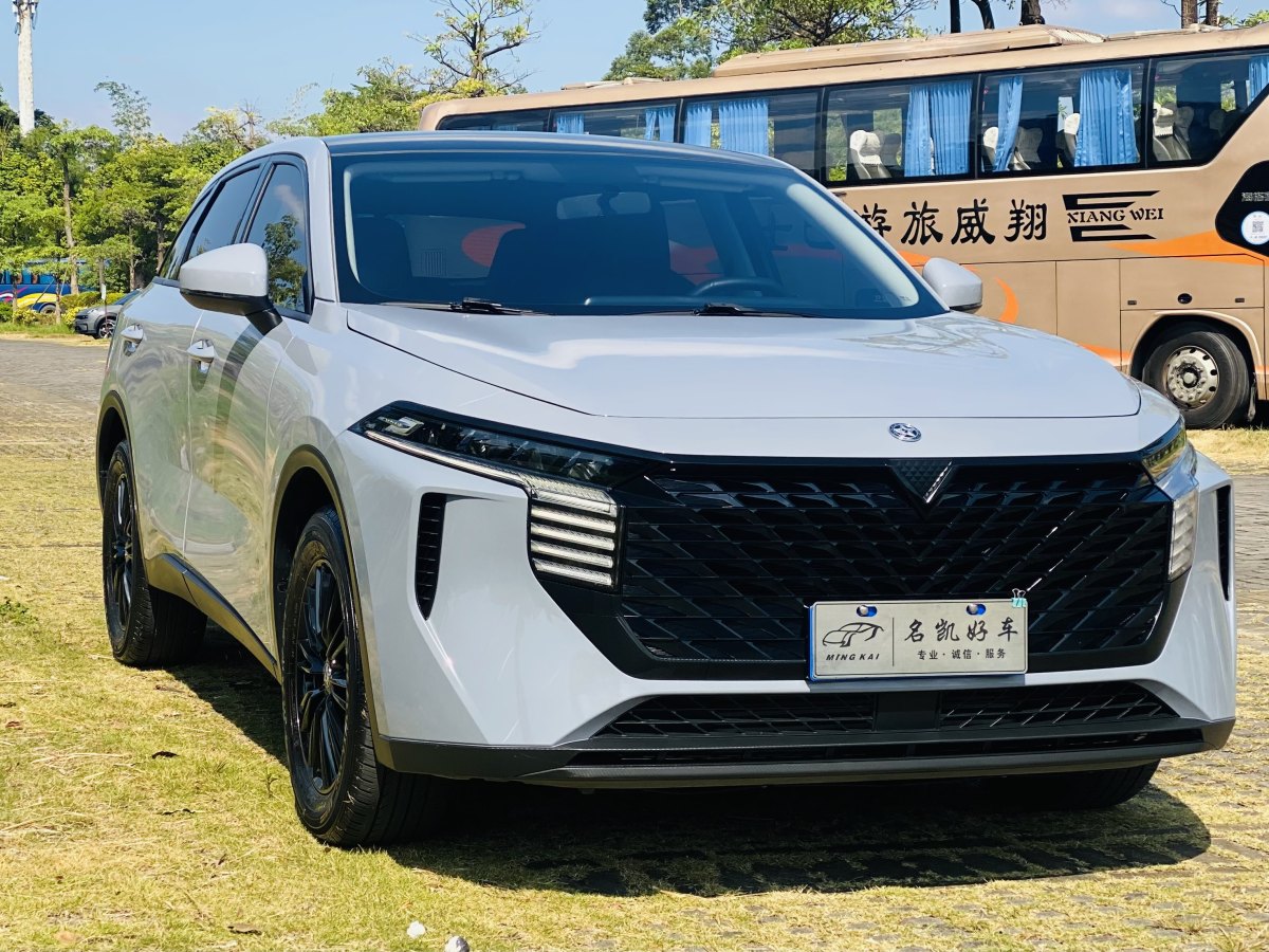 啟辰 啟辰大V  2022款 260T 黑馬版?愛豆圖片