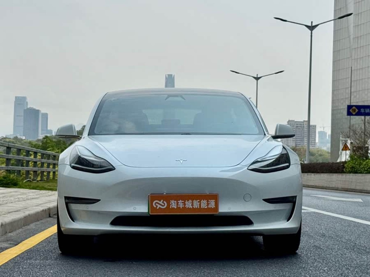 特斯拉 Model 3  2020款 改款 長續(xù)航后輪驅動版圖片