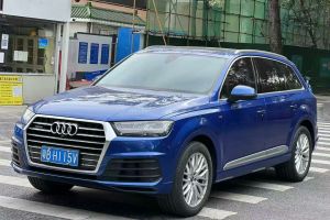 奧迪Q7新能源 奧迪 45 e-tron