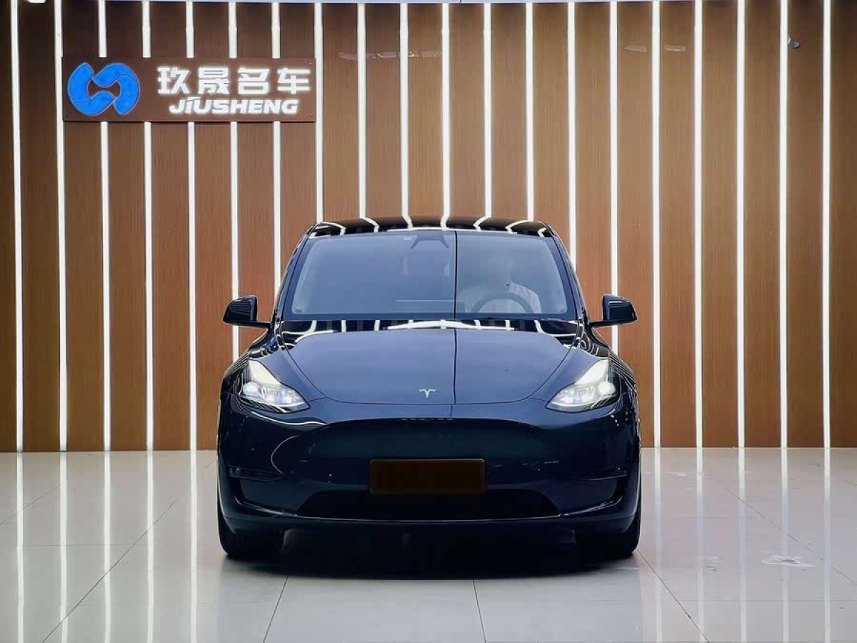特斯拉 Model Y  2021款 標(biāo)準(zhǔn)續(xù)航后驅(qū)版圖片
