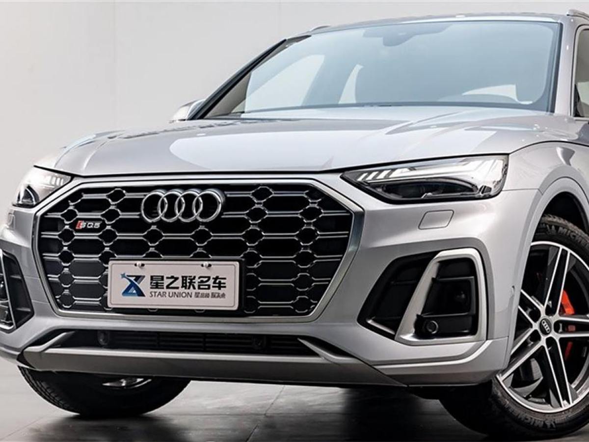 奧迪 奧迪SQ5  2014款 SQ5 3.0 TFSI quattro圖片