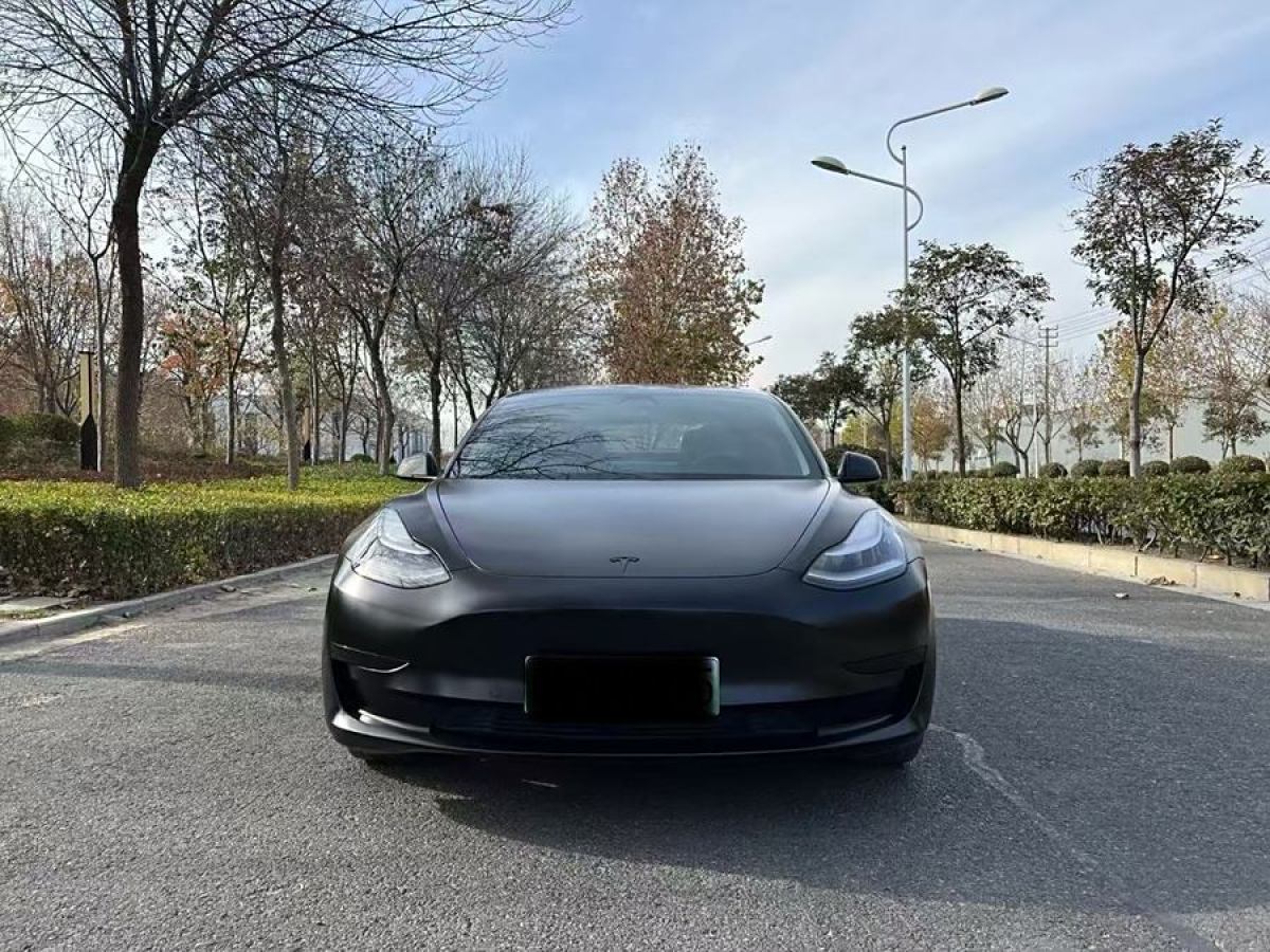 特斯拉 Model 3  2020款 改款 標(biāo)準(zhǔn)續(xù)航后驅(qū)升級版圖片